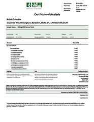 CBD by British Cannabis 500mg CBD Dermal CBD Patches - 10 Patches