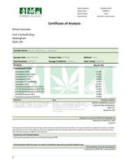 Access CBD Citrus Gummies 250mg CBD (45g)