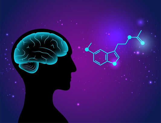 Unlocking Brain Power: A Guide to Nootropics and Adaptogens